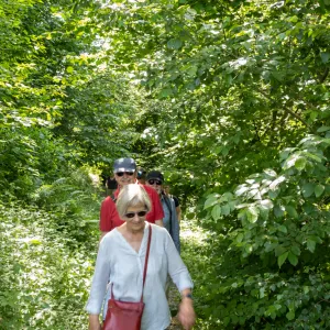 Spaziergänge (13 von 20).jpg